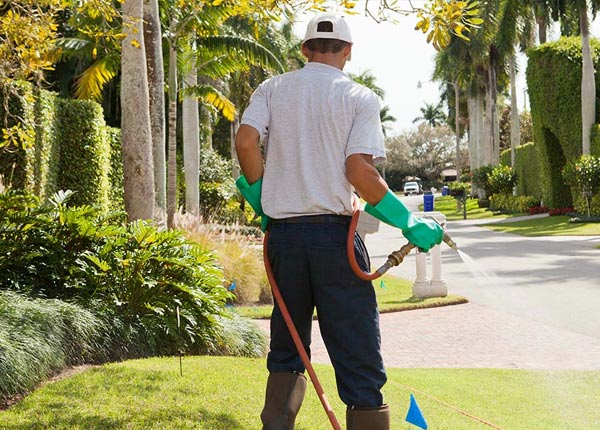 About Rock Tavern NY Pest Control Pros